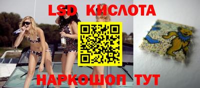 шишки Новодвинск