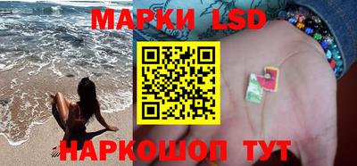 шишки Новодвинск