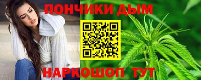шишки Новодвинск