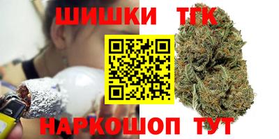 шишки Новодвинск