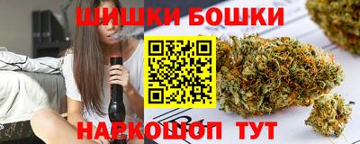 шишки Новодвинск