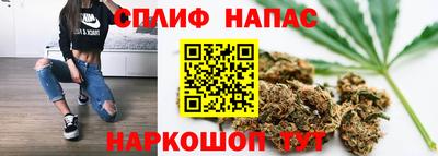 шишки Новодвинск