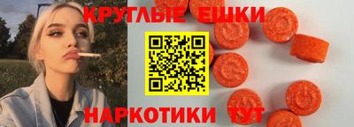 шишки Новодвинск