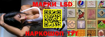 PSILOCYBIN Обнинск