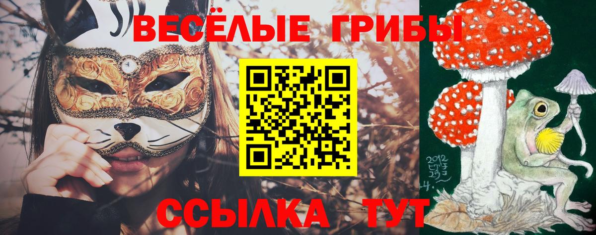 Галлюциногенные грибы Cubensis Сосновоборск